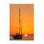 Art sur toile, «ologic ADRIAN TUDOSE »-109321185