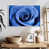 Floating Frame White