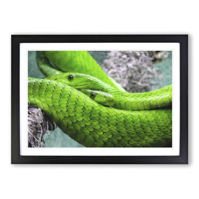 Green Mamba Snakes - Framed Print
