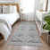 Celeski Washable Southwestern Indoor Rug