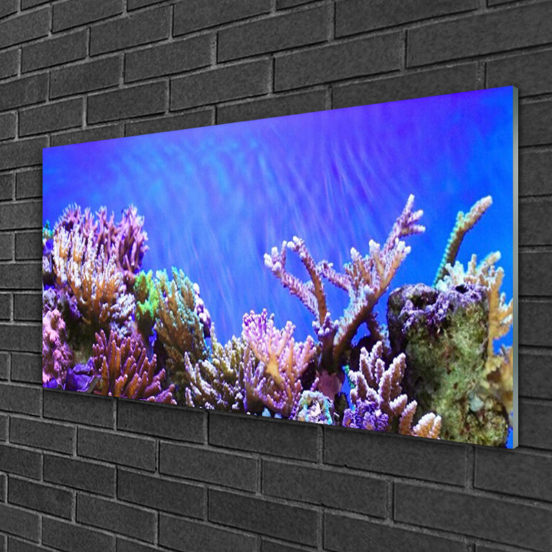 Nature Coral Reef - Unframed Photograph on Glass