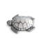 Ouvre-bouteille sea turtle Coastal