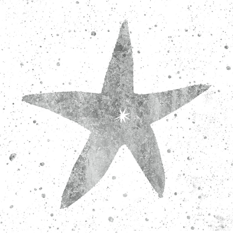 Silver Sea Life Starfish by Wild Apple Portfolio - Wrapped Canvas Painting, 91cm H x 91cm W
