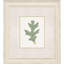 Leaf Adorned II Set by Giclee Studio