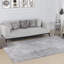 Oriental Machine Woven Machine Woven / Power Loomed Area Rug-83243442