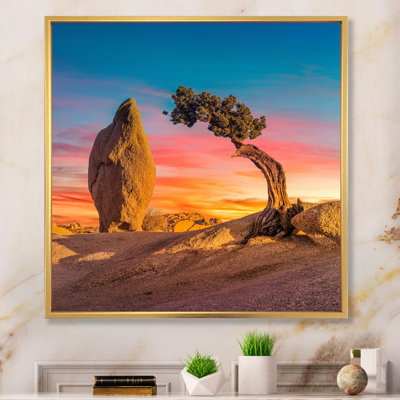 " Solitude Tree On Arkansas Desert "