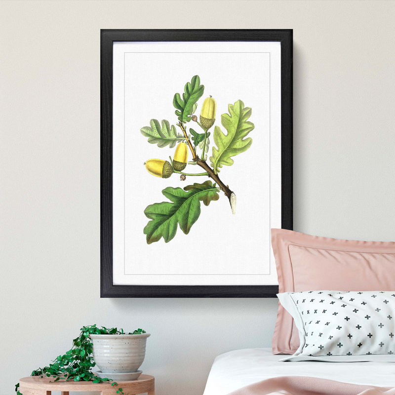 English Oak Tree Illustration - Picture Frame Painting Print, 36cm H x 27cm W x 2cm D, Black Framed