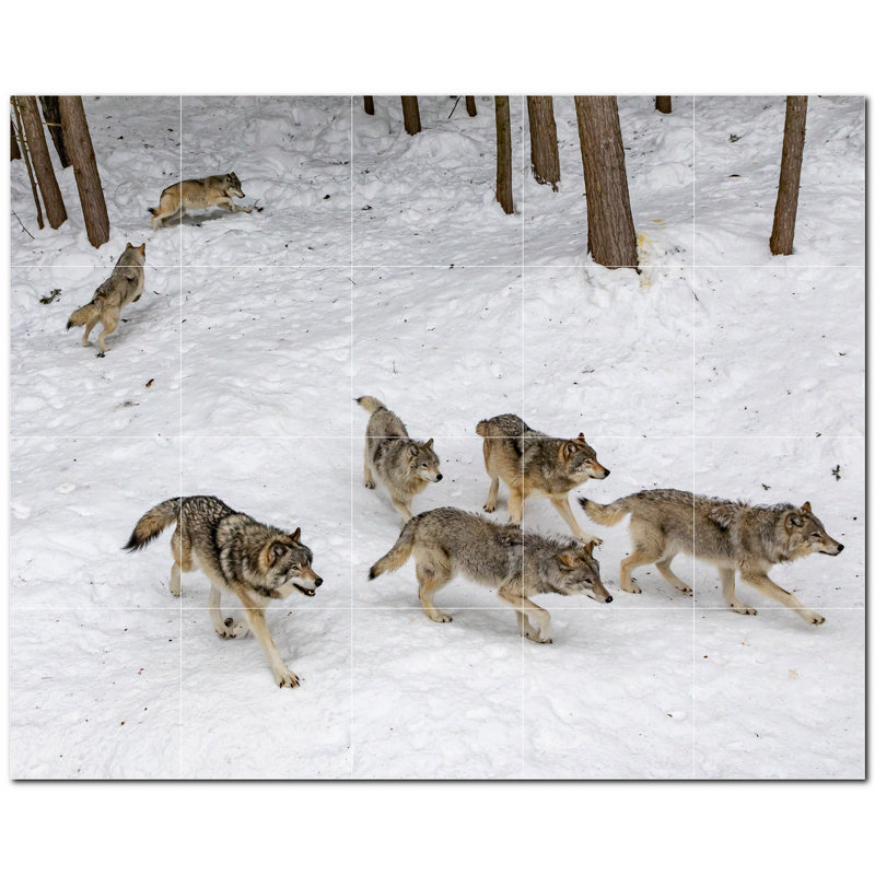 Murale en céramique satinée loup 12 po x 12 po Wolf Photo