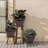 Genard 3 Pack 12 Inch Plant Pots with Drainage Holes & Saucer, Flower Pots with Tray, Set Of 3 Plastic Whiskey Barrel Planters for Indoor & Outdoor Garden Home-857373412
