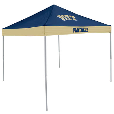 Economy 9 Ft. W x 9 Ft. D Steel Pop-Up Canopy