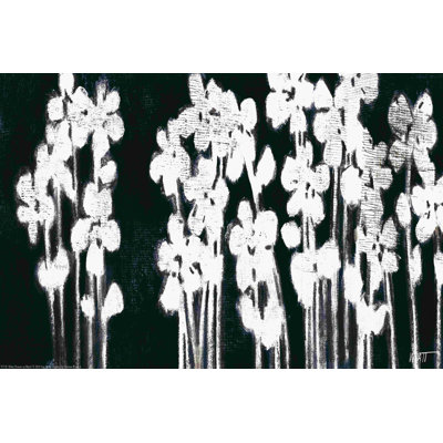 Fleurs blanches sur fond noir I
