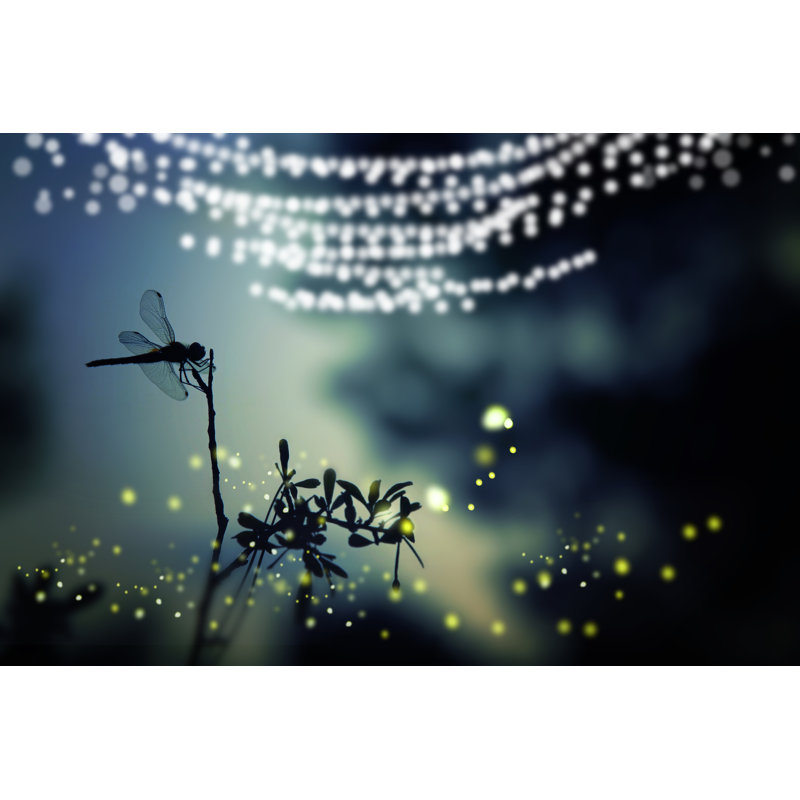 Starine Dragonfly - Wrapped Canvas Print, 81cm H x 122cm W x 3.8cm D
