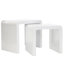 Farrah Sled Nesting Tables-24694998
