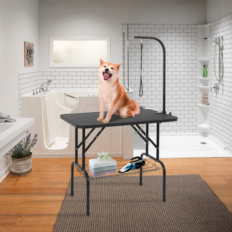 Table de toilettage pour chien