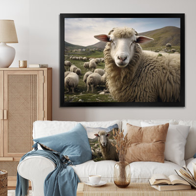 " Sheep Environmentalin Mountain "