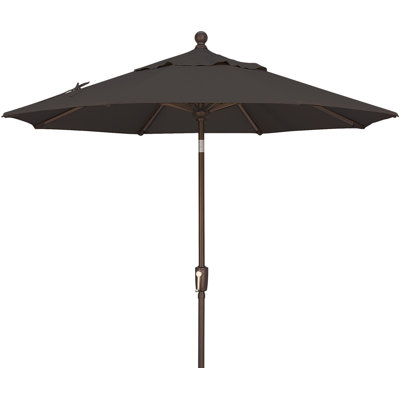 Launceston Market Umbrella