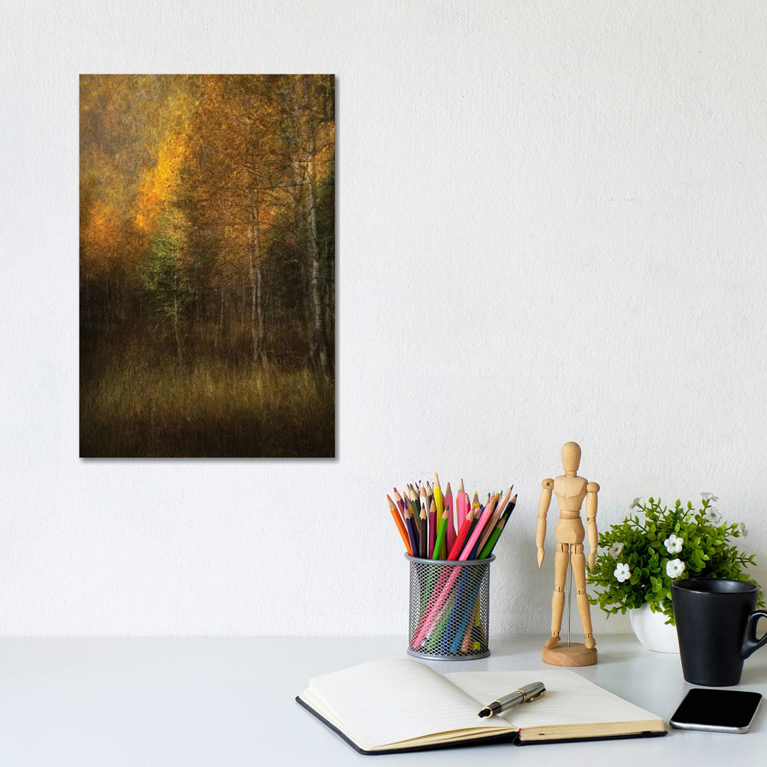 Woods von Roxana Labagnara - Giclée auf Leinwand ohne Rahmen