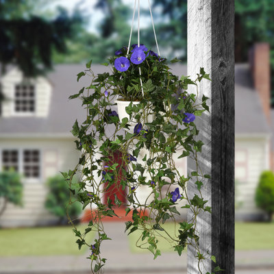 The Holiday Aisle® - plante suspendue du matin de 44 po