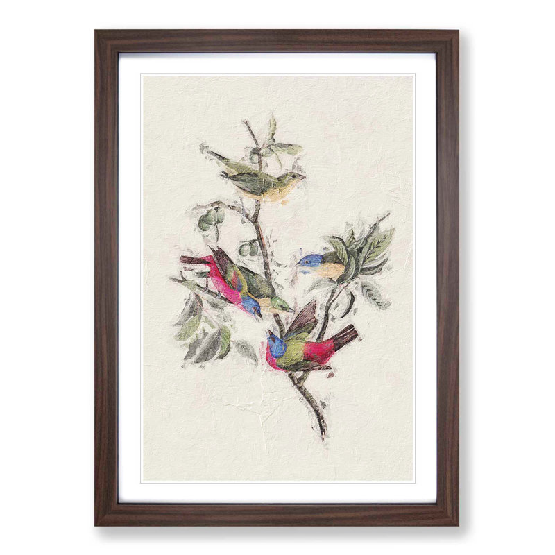 Painted Finches by John Audubon - Framed Print, 48cm H x 36cm W x 2cm D, Walnut Framed