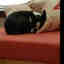 Photos des clients 2 de 2