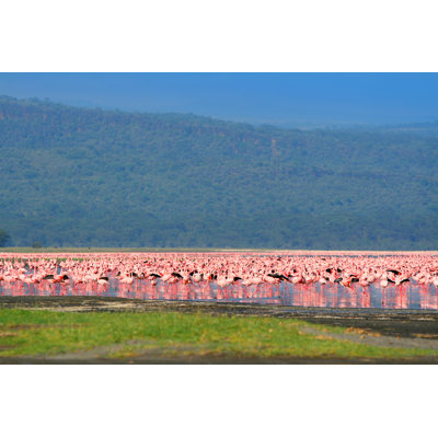 Conerly Conerly Flock Of Flamingos - Wrapped Canvas Print