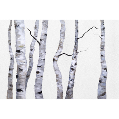 " Birch Trees I " by Sheila Finch Painting Print