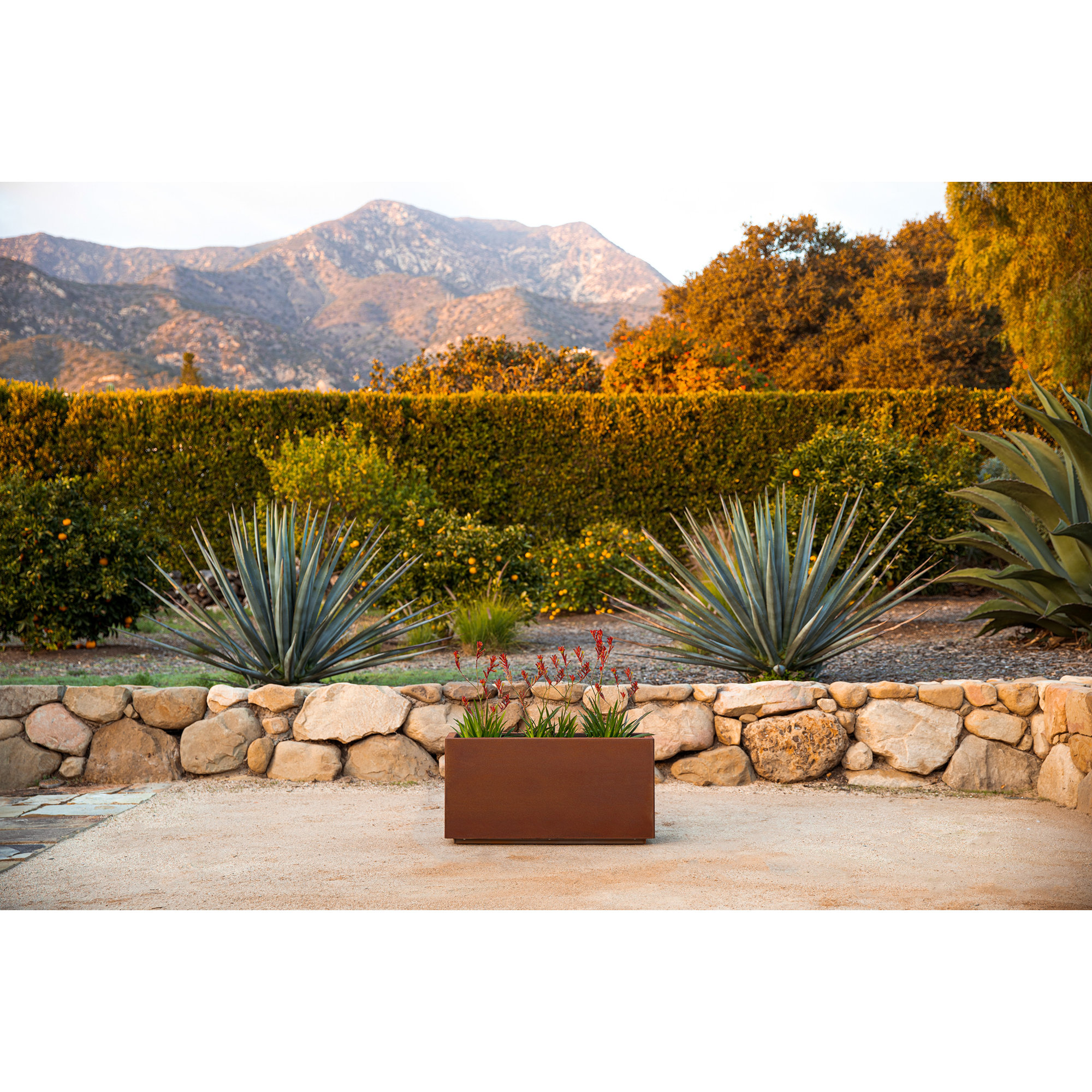 Corten Steel Series Long Box Planter, 13" H x 25" W x 11" D