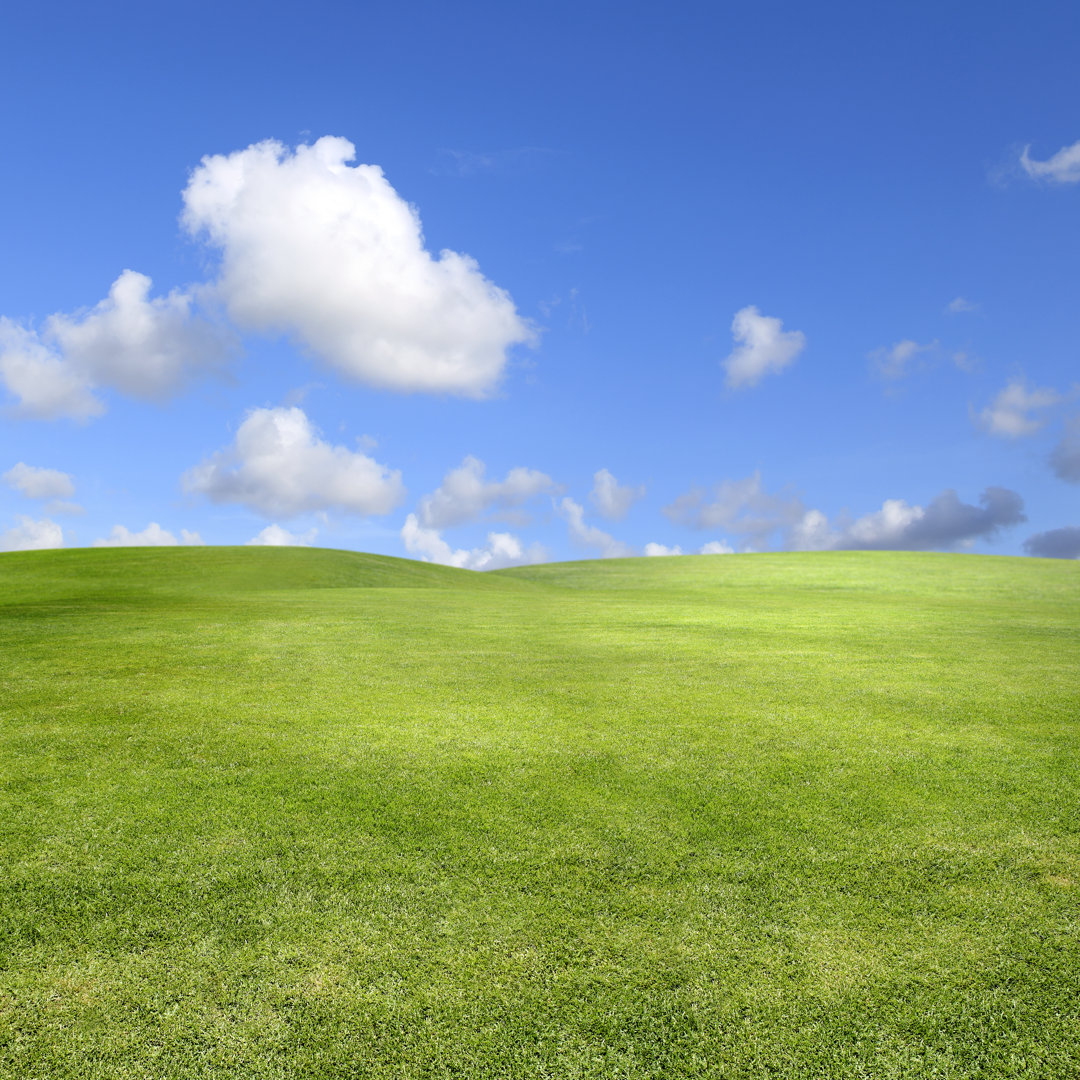 Saubere grüne Landschaft über klarem Himmel