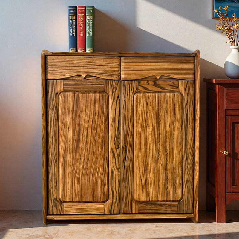 Modern simple storage shoe cabinet