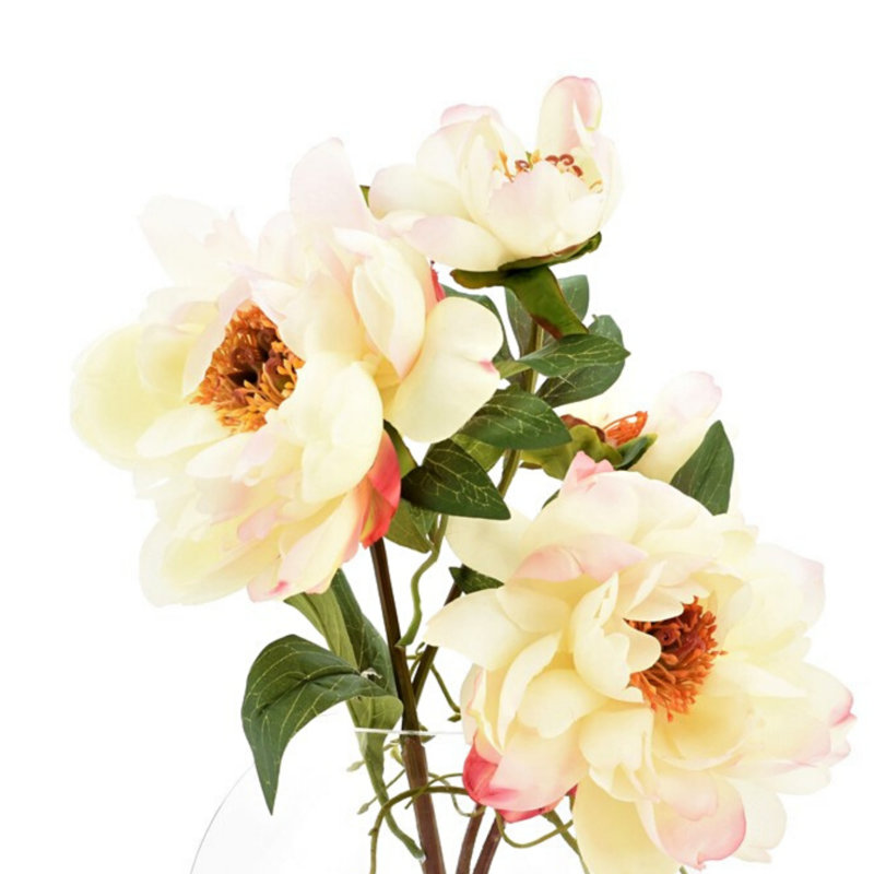 Arrangement floral pivoines dans un vase