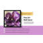 «Purple Spring Rhapsody 4 I» par Irena Orlov, impression sur toile pourpre Fine Art Gallery-19507343