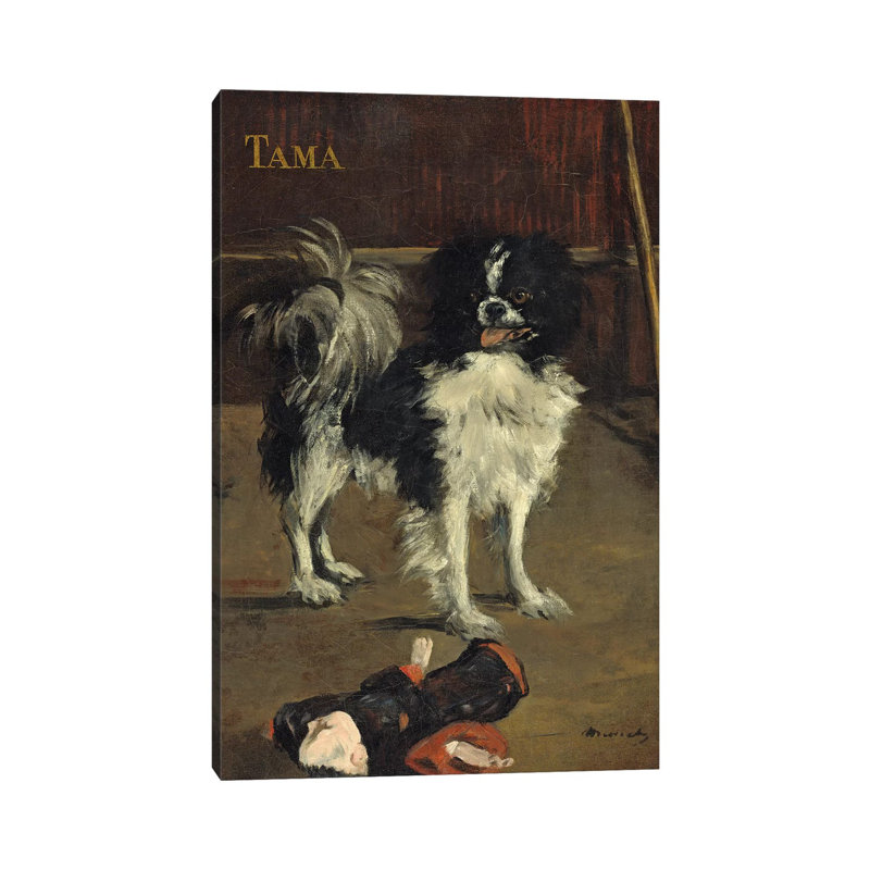 Tama, The Japanese Dog, C by Edouard Manet - Wrapped Canvas Painting, 45.72cm H x 30.48cm W x 1.91cm D