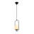 Adjustable Height Metal Body Single Pendant-1510211375