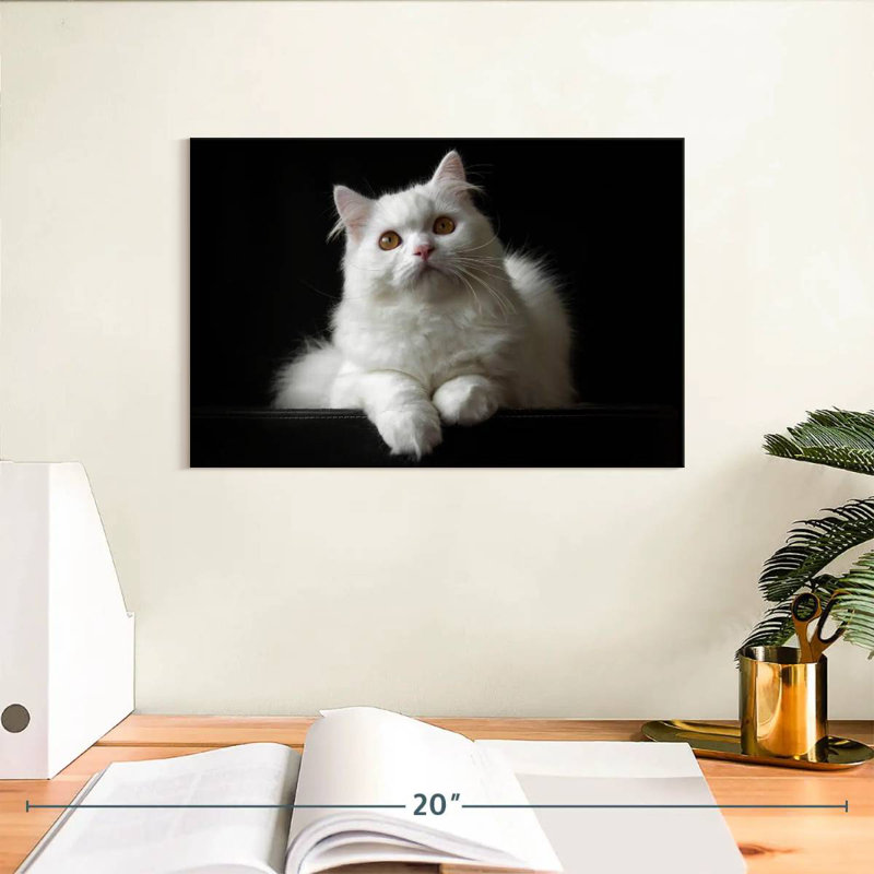 White Persian Cat, 8" H x 12" W