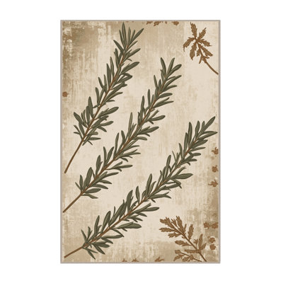 Machine Washable Ottwell Rosemary Country Rustic Vintage Look Rug in Beige – Beige Binding