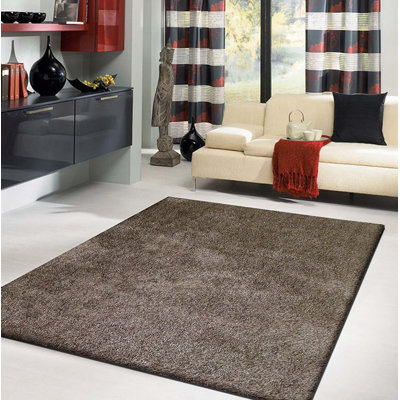 Fancy Shaggy Hand Tufted Area Rug