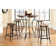 Konieczny Counter Stool with Metal Frame