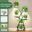 Plant Stand - Set of 8