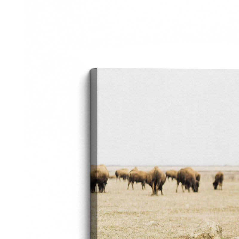 Impression sur toile Wild Plains, H 12 po x l 18 po x P 1,25 po, Toile tendue
