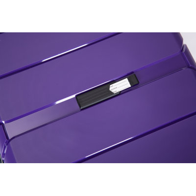 Ensemble de valises légères et durables avec serrure TSA Hardshell Valise Spinner Wheels, ensemble de 3 pièces (20/24/28), mauve