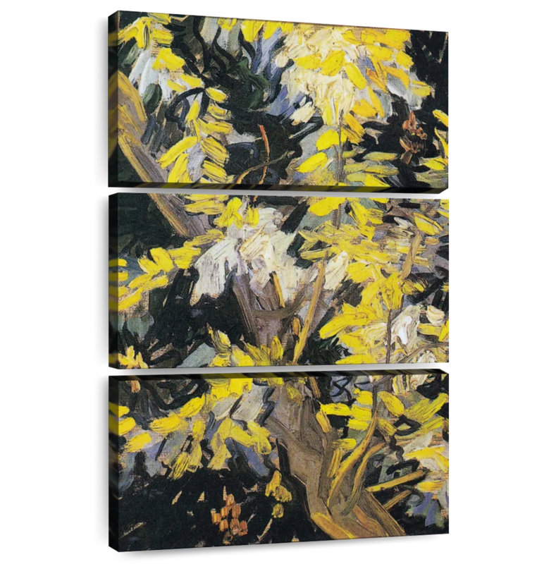 Blossoming Acacia Branches