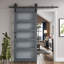 Veneer Barn Door-776366128