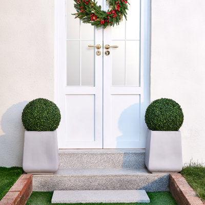 Ashwell Boxwood Topiary