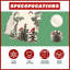 Chemin de table Cardinal Birds Winter Pine Christmas-1622488428