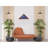 8.6'' H x 17'' W Solid Wood Display Case
