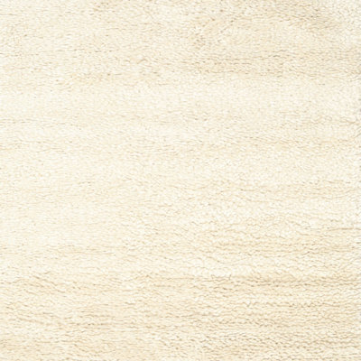Indoor Rug