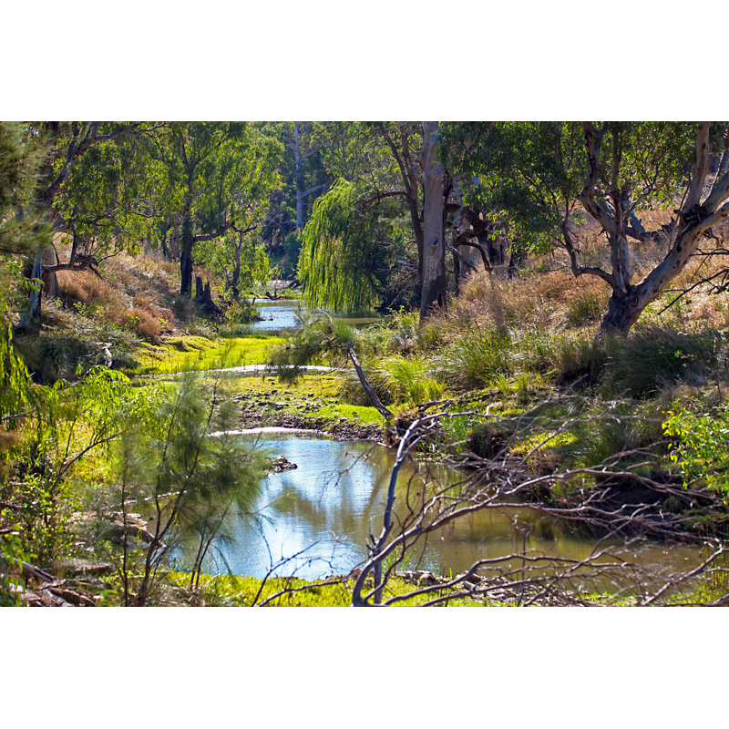Dorrance Dubbo, Australia 1 Piece Wrapped Canvas Wall Art, 30cm H x 46cm W x 3.8cm D