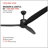 Torrie Ceiling Fan