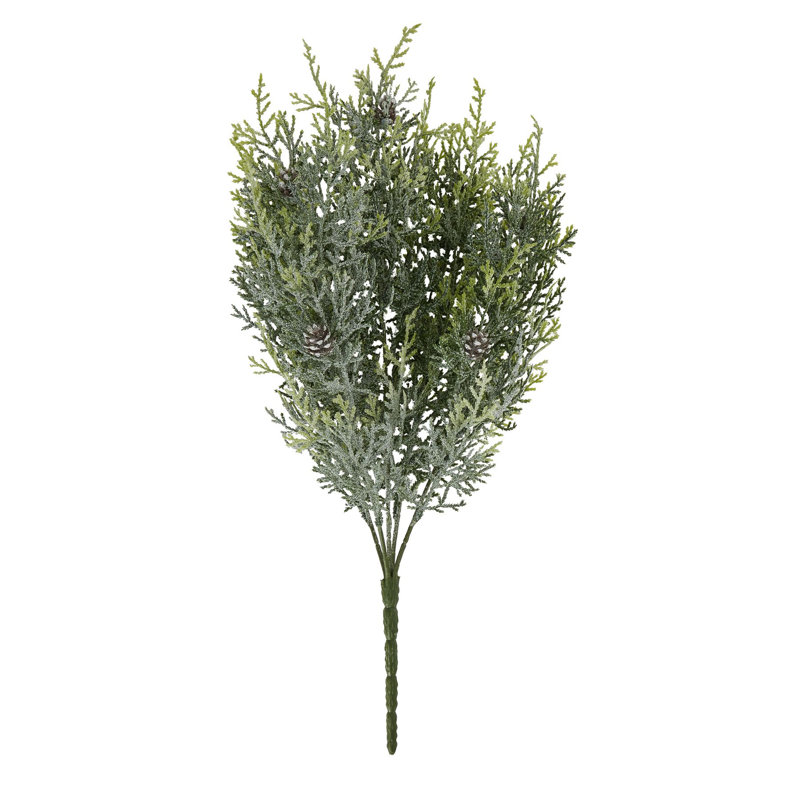Antioca Arrangement