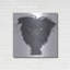 «Affenpinscher Bust» par Danny Gordon-579330288